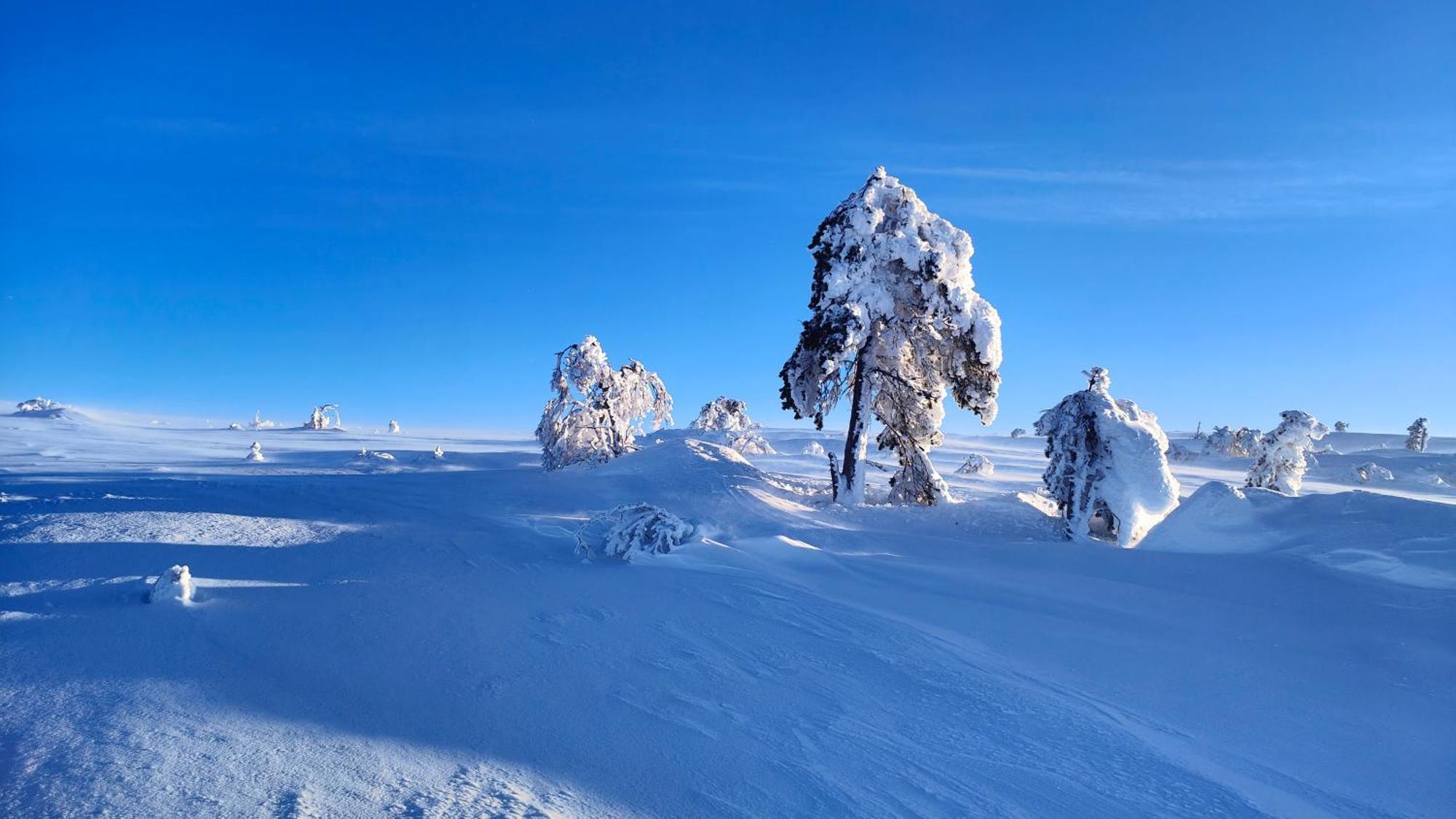 Fulufjellet Hotel Ljørdal Kültér fotó