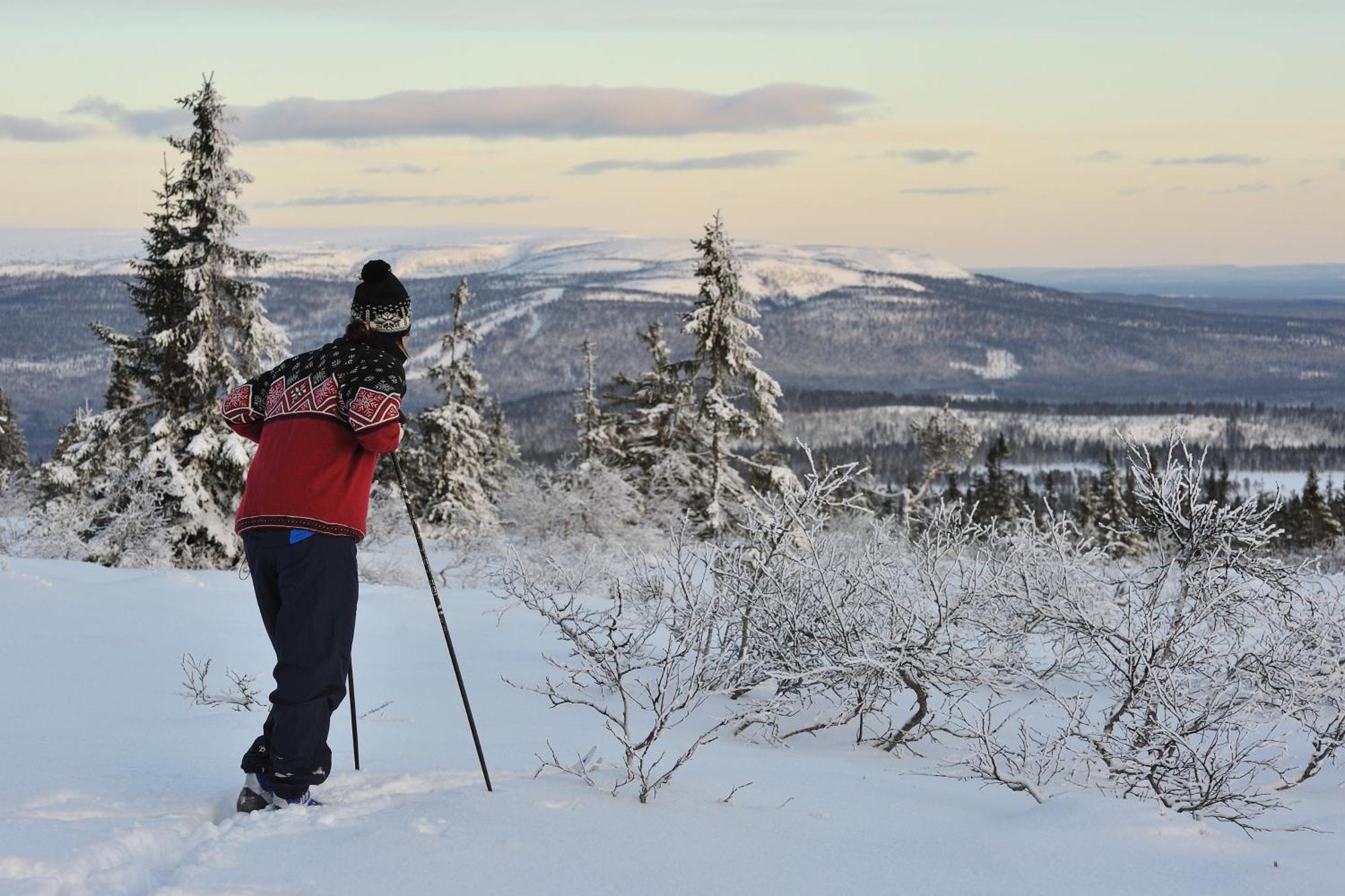 Fulufjellet Hotel Ljørdal Kültér fotó